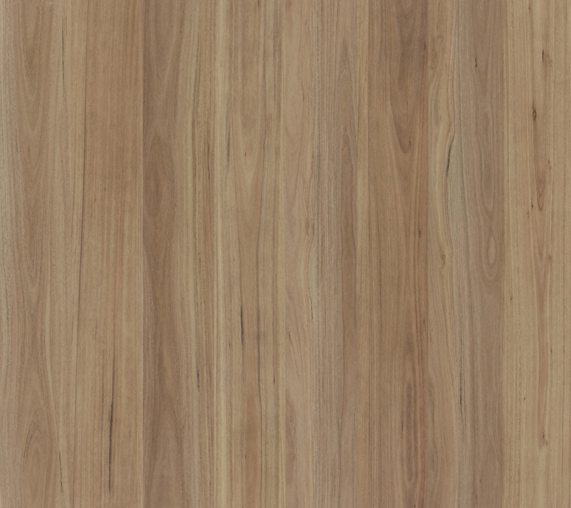 1708-Blackbutt-Hybrid-7MM
