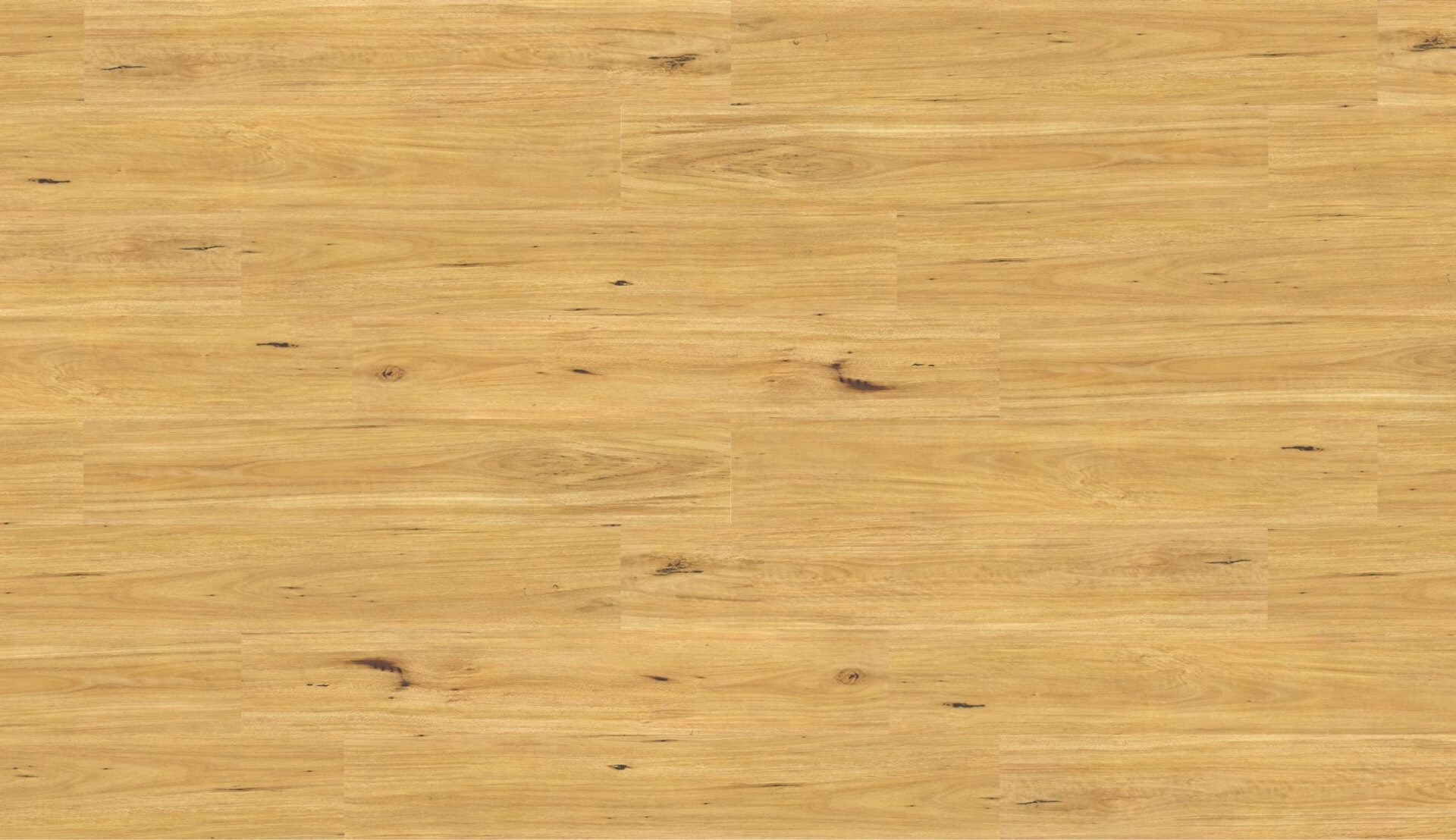 BLACKBUTT-Aqua-Laminate-12.3MMM