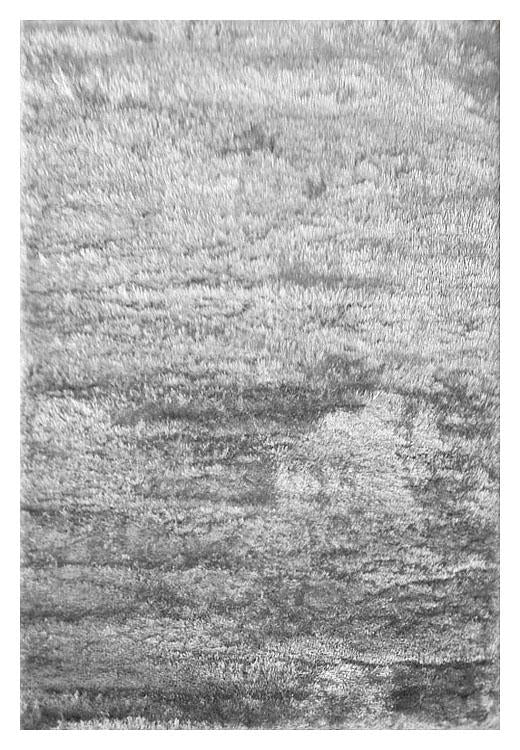 Soft Shaggy 1001 Lt.Grey